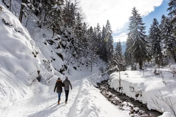WINTER-UND-SCHNEESCHUHWANDERN WINTER-UND-SCHNEESCHUHWANDERN
