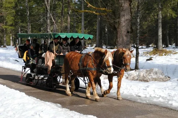 Horse-drawn-sled-ride Horse-drawn-sled-ride
